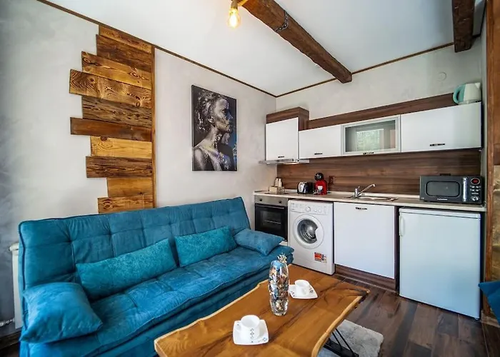 650m In&out - - Free And Parking Bansko